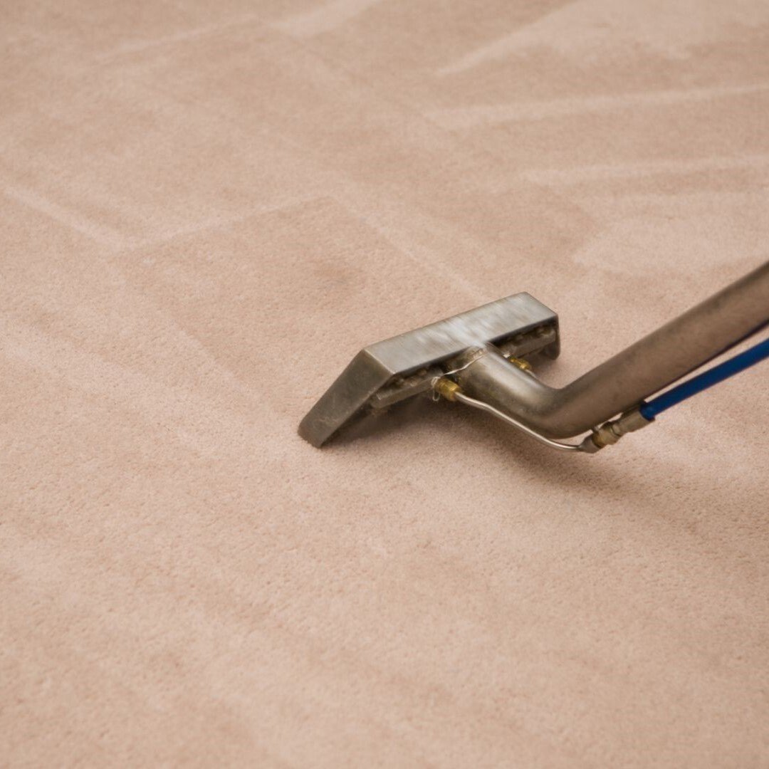 carpet cleaning coste